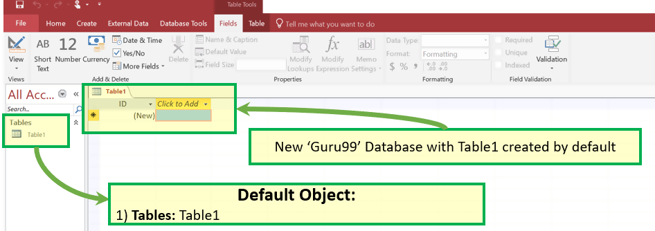 Create a Blank Database