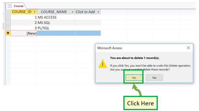 MS Access- Adding Data