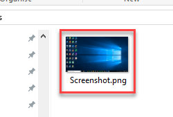 Windows Key + Print Screen