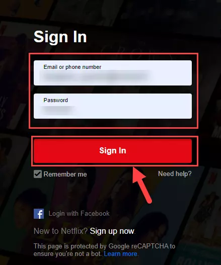 use Netflix TeleParty