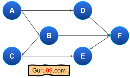 Directed Graph