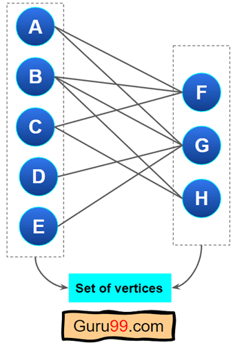 Bipartite Graph