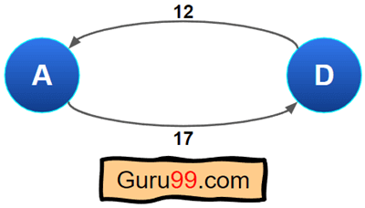 Bi-Directional Graph