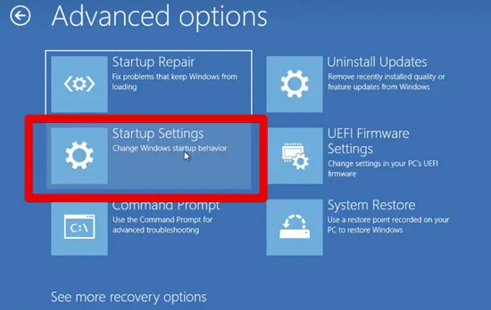 Use Display Driver Uninstaller