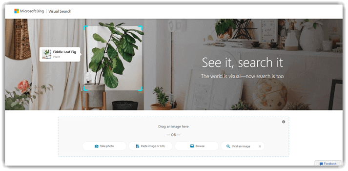 Bing Visual Search