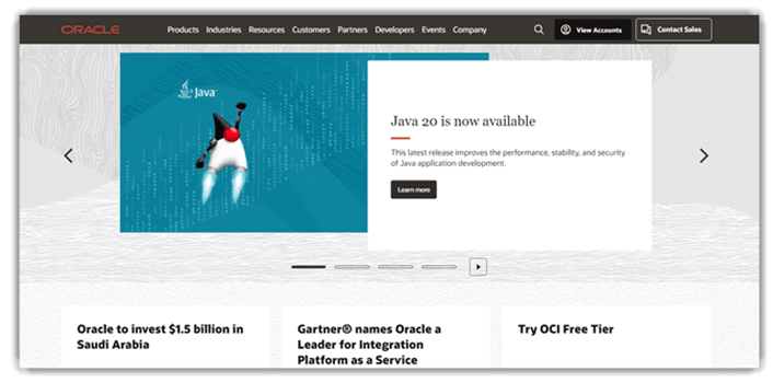 Oracle BI Standard Edition One