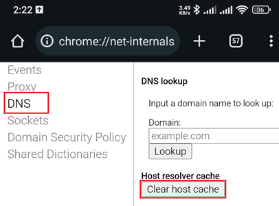 Delete Incognito History on Android