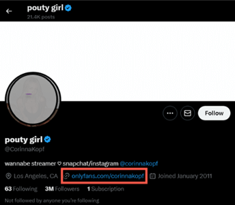 Look for Direct Links on Other Social Media