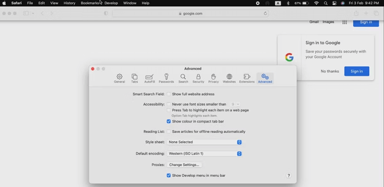 Flush Clear DNS Cache on Safari