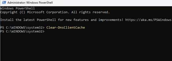 Flush DNS Cache through Windows PowerShell