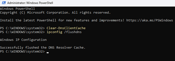Flush DNS Cache through Windows PowerShell