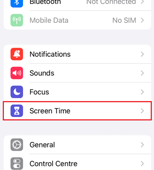 Check and Turn off the App Restriction