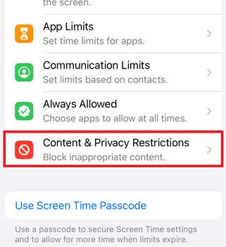 Check and Turn off the App Restriction