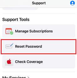 Reset Apple ID Password