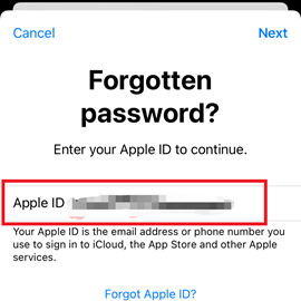 Reset Apple ID Password