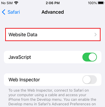 Check Incognito History on IPhone