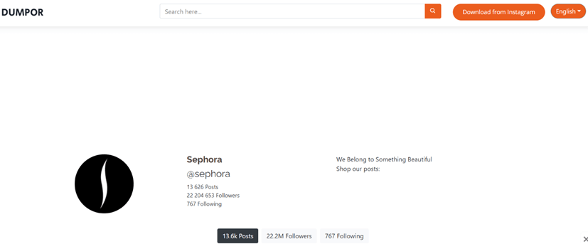 Search on the Dumpor Website