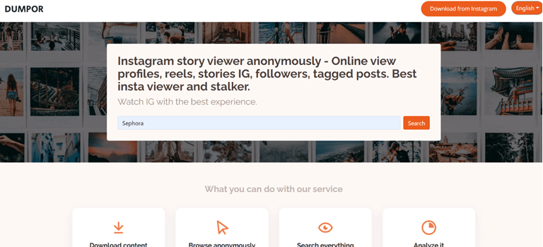 Search on the Dumpor Website