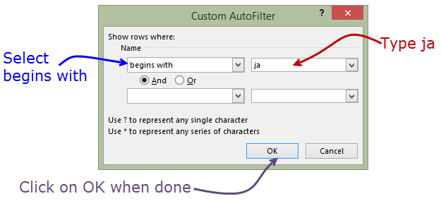 Data Filters in Excel