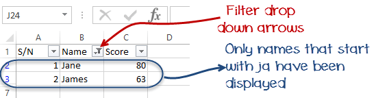 Data Filters in Excel