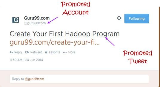 Online Paid Advertising: Ultimate Guide Digital Marketing Tutorial: Online Course