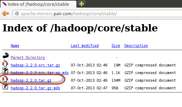 Download and Install Hadoop