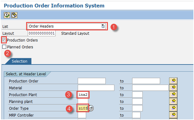 Display Order Information Systems in SAP