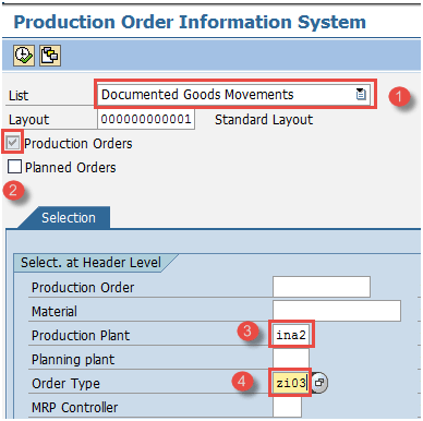 Display Order Information Systems in SAP