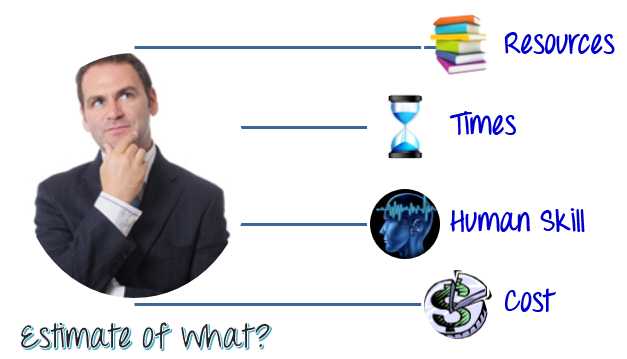 Estimate of Test Management