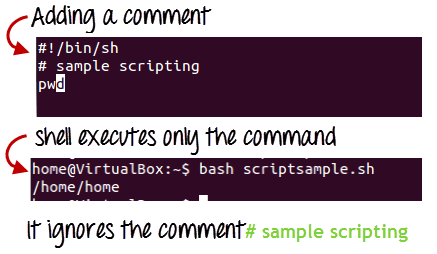 Adding shell comments