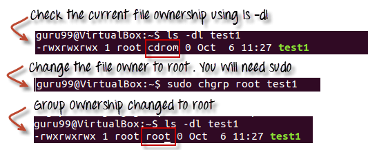 Changing Ownership and Group in Linux