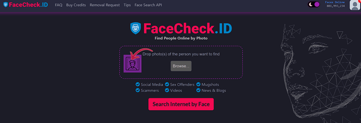 FaceCheck ID Review