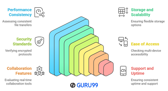 Choose Best File Hosting Service