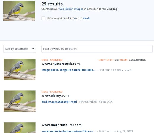 Find Instagram Account by Photo Using TinEye