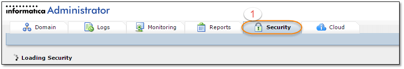 Create Informatica User
