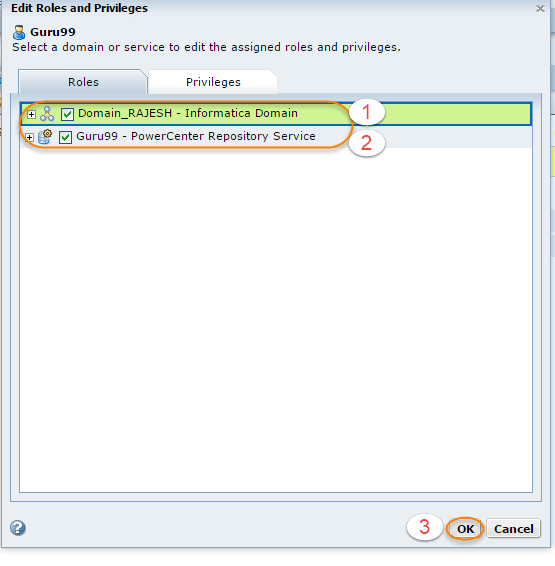Create Informatica User