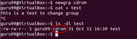 Changing Ownership and Group in Linux