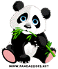 PandaCodes
