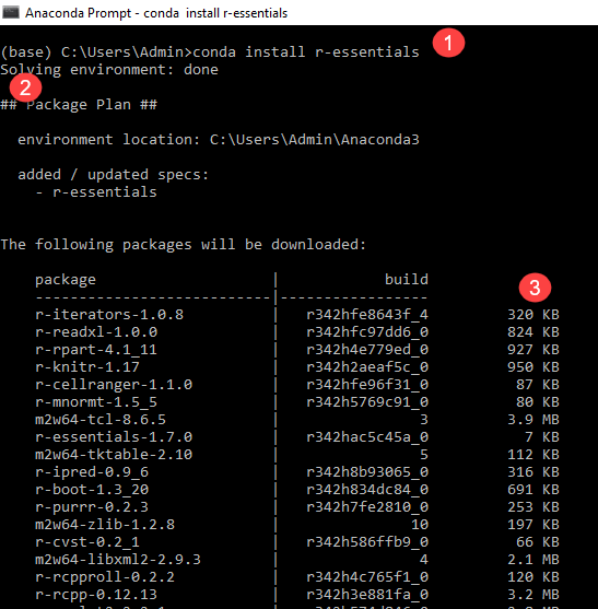 Install R on Windows