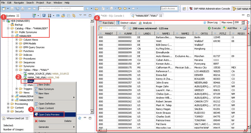 SAP DS (Data Services) in HANA