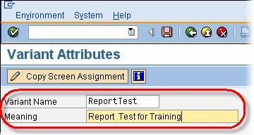 Create Variant in SAP