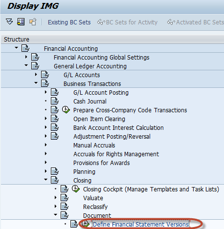 Financial Statement Version Configuration