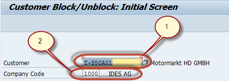 Block a Customer in SAP
