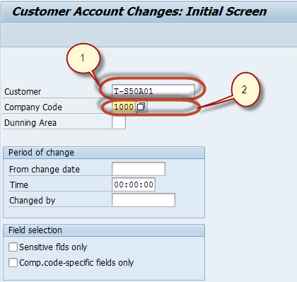 Display Changes in Customer Master in SAP