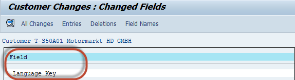 Display Changes in Customer Master in SAP