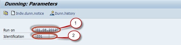Perform Dunning in SAP
