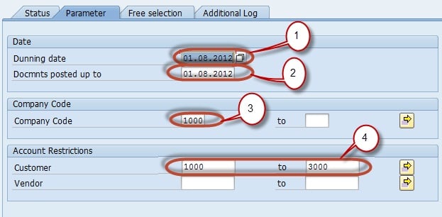 Perform Dunning in SAP