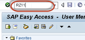 SAP RZ11:View Parameter