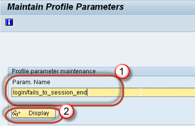 SAP RZ11:View Parameter