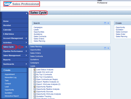 SAP CRM Sales Business Role